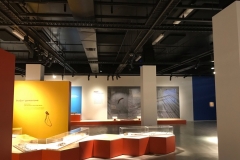 Australian Museum 07